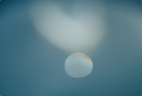 ミラリ公式オンラインストア特典